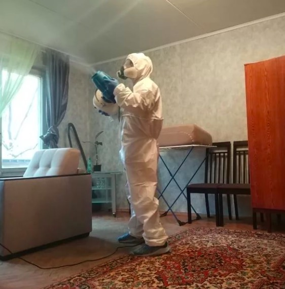 дезинсекция квартиры в Всеволожске